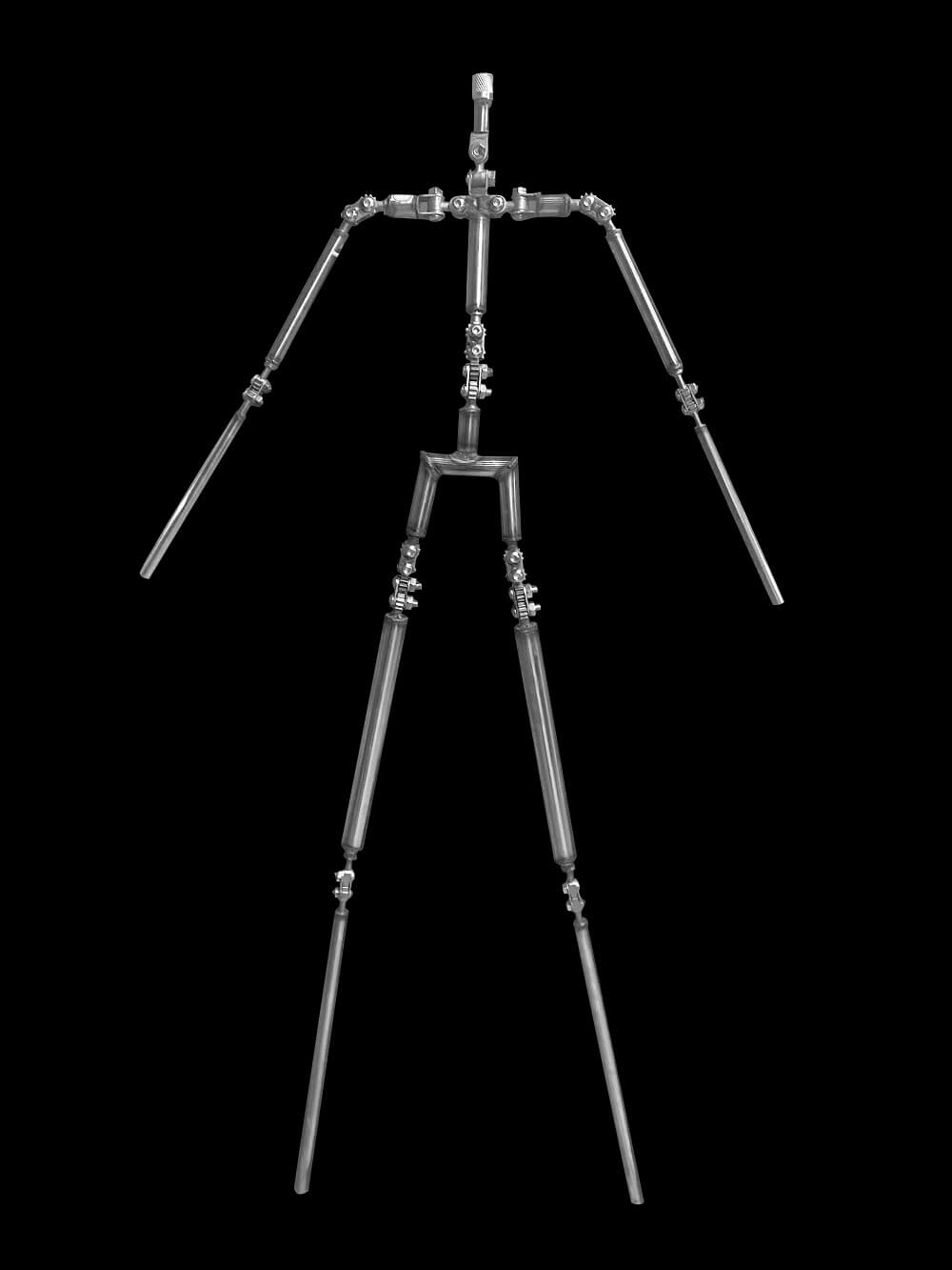 Shrugging Skeleton of Sex Doll