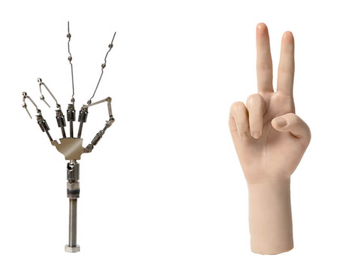 articulated Fingers of sex doll