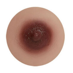 dark brown areola of sex doll