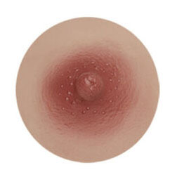 light brown areola of sex doll